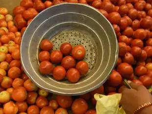 Tomato---BCCL