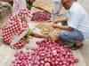 Govt suspends onion exports due to high prices