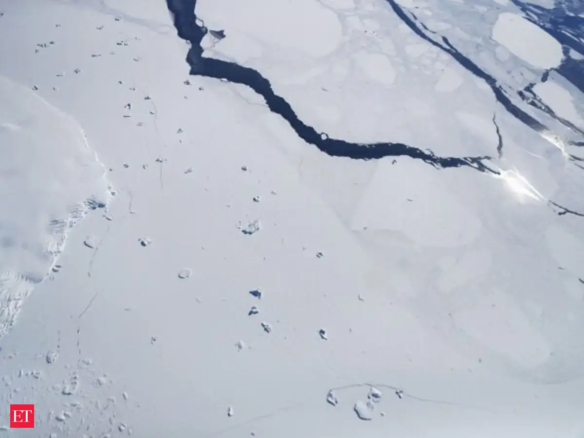 A city-size iceberg breaks off Antarctica - Impact | The Economic Times