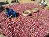 Govt buying back onions from Pak; exports banned till Jan 15