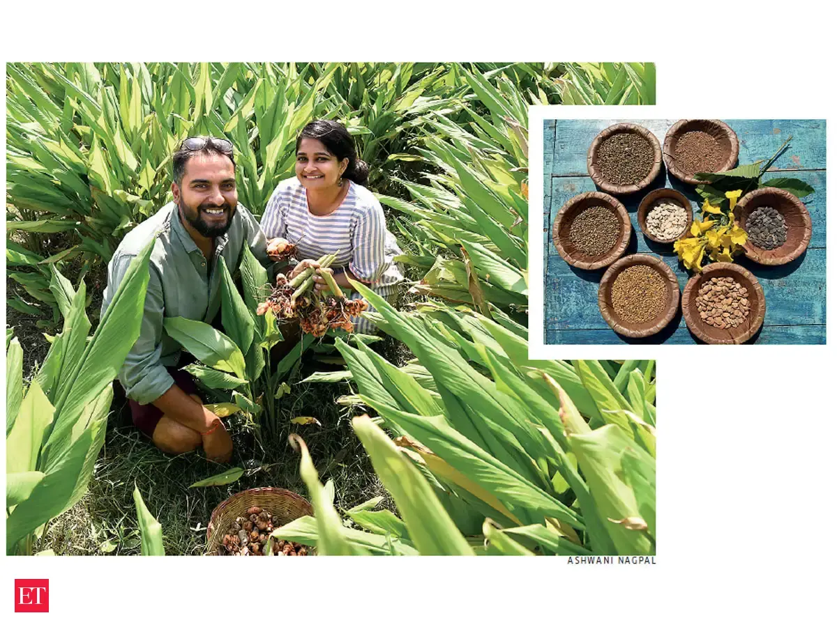Heirloom Crops Indigenous Varieties Are Making A Comeback The Economic Times