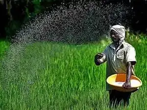 fertilizer