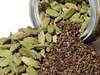 Agro commodities watch: Cardamom, Chilli up