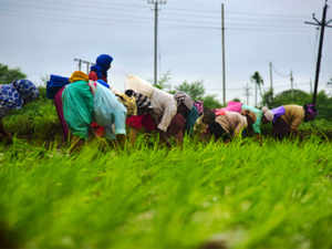 agriculture-bccl