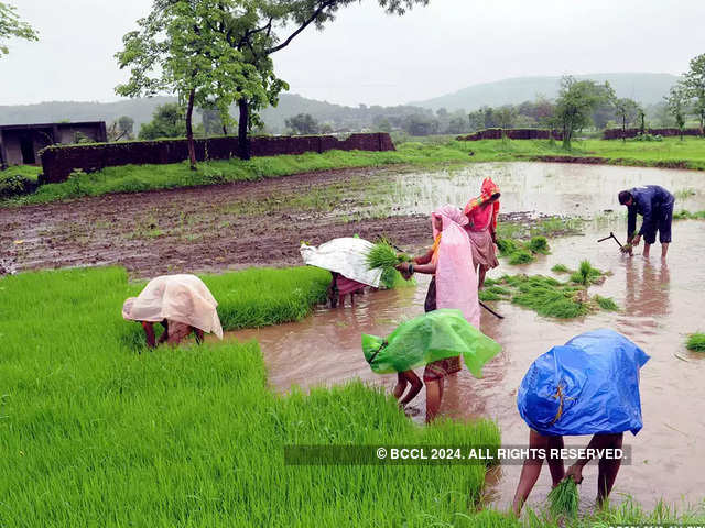 Why this monsoon was different?