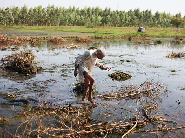 Is heavy rainfall good news?