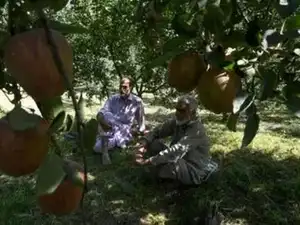 Orchardists