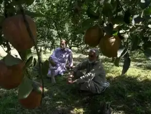 Orchardists