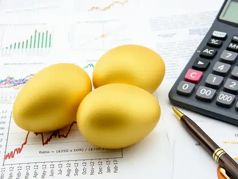 Large & Mid Cap Fund