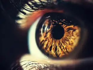 eyes_ThinkstockPhotos