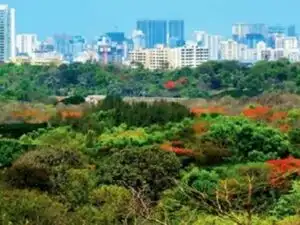 green city