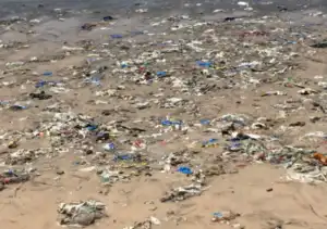 beach plastic