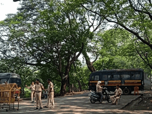 Aarey-