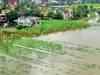 Unseasonal rains damage crops in Maharashtra