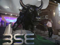 BSE-bull---AP