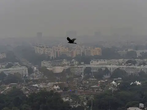 Critically polluted areas!
