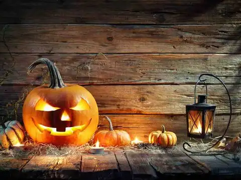 Last Minute Halloween Decorations 2022 Last Minute Halloween Decor Ideas That Will Make Your House Look Oh So Terrifying Scary Yet Aesthetic Halloween Decor The Economic Times