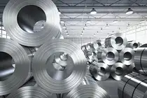 zinc-bccl