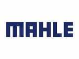 Mahle Group eyes larger pie by participating in India's electrification push for two wheelers and three wheelers