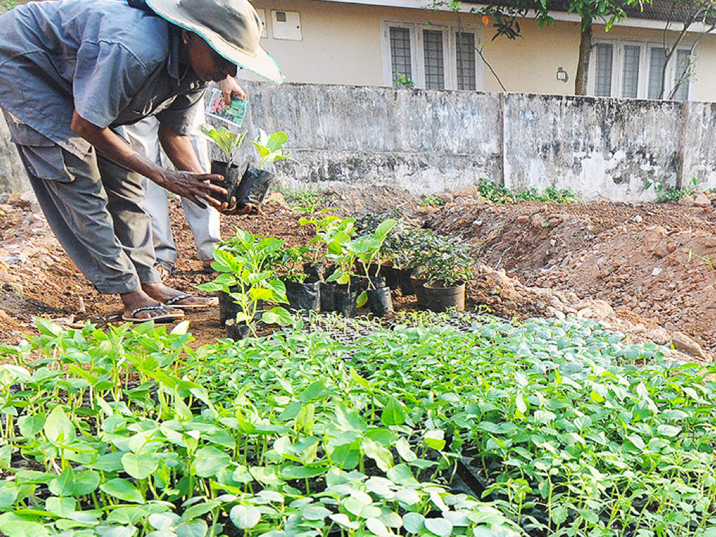 Sorry—organic farming is actually worse for climate change