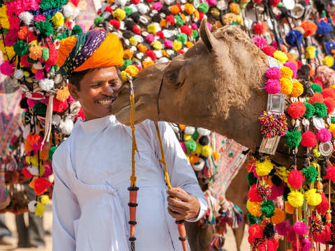 Rajasthan has passed laws to protect camels - Why camels are giving Pushkar  fair a miss | The Economic Times