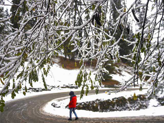 Snowfall in Gulmarg