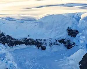 antartica