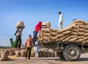 Procurement