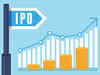 Demand for niche stocks see IPOs triple benchmark gains