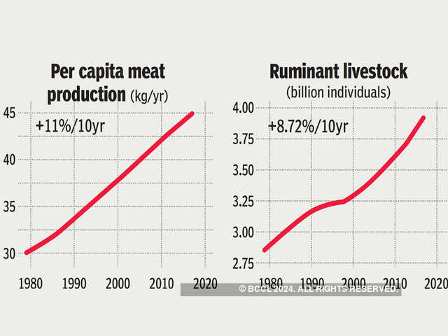 Cutting meat consumption vital to reducing emissions