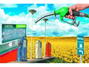 BioFuel---Agencies