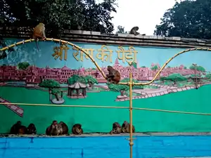 ram-ani