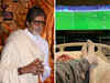 Bachchan spends weekend in bed, recovering from injuries 'left over from the time of 'Don''