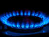 Adani Gas Q2 profit doubles to Rs 120 crore