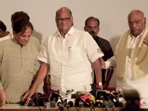 NCP-Cong-meet-ani