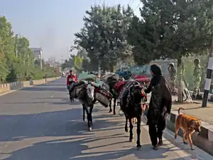 kashmir-bccl-1