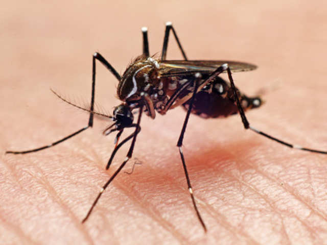 Dengue hitting children harder
