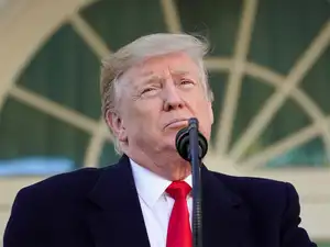 trump---reuters