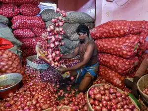 onion pti