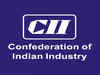 CPSEs can be globally competitive if government, management roles spelt out: CII