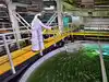 Dubai - Hub of ambitious projects