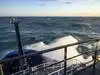 "Less than robust year for sea ice"