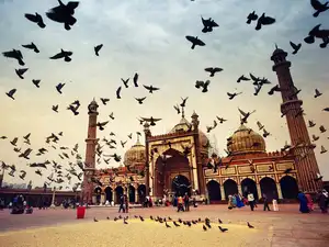delhi-thnkstck