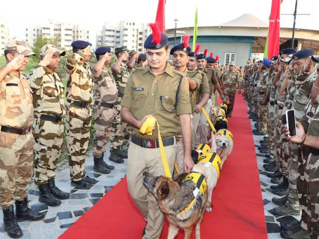 Four-legged soldiers accompanied their handlers