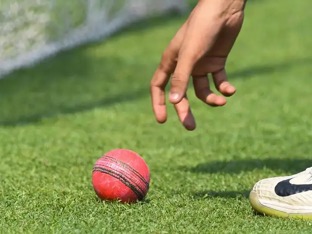 The pink ball was first introduced in an ODI between England and Australia in 2009.