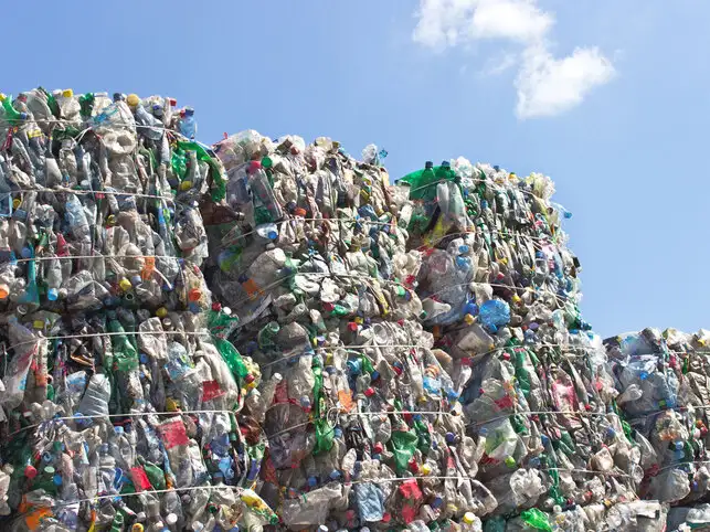 iStock-480296104plasticfina