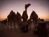 Long lost equation with desert