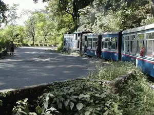 Darjeeling-bccl