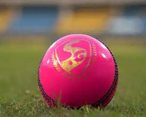 Pink Ball