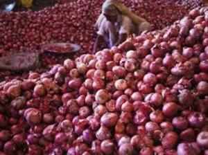 Imported Onions
